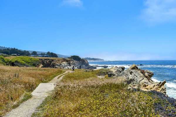 a coastal hiking trail with the bluffs and ocean