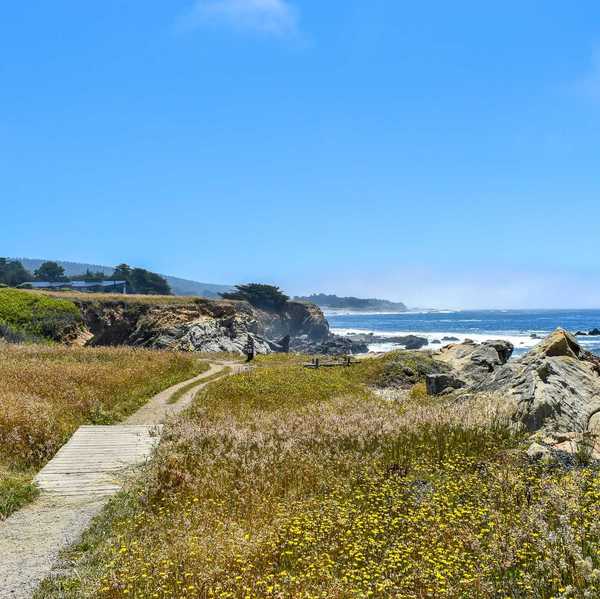 a coastal hiking trail with the bluffs and ocean