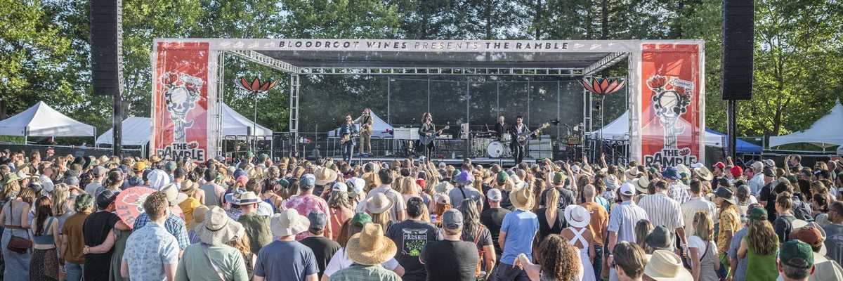a crowd of festival goers watching a musical act on stage