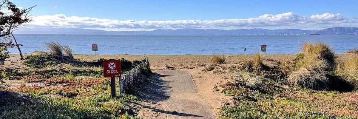 a dirt path leading to a sand beach with a blue body of water beyond