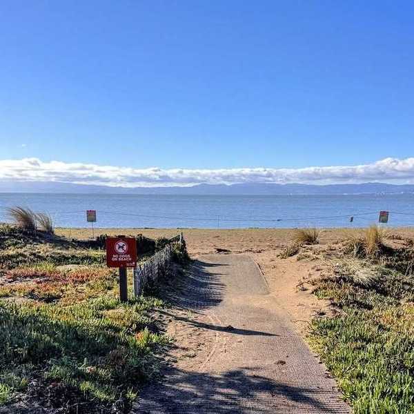 a dirt path leading to a sand beach with a blue body of water beyond