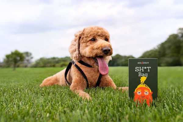 a dog laying in grass with a box of Smolotov Shit Bags