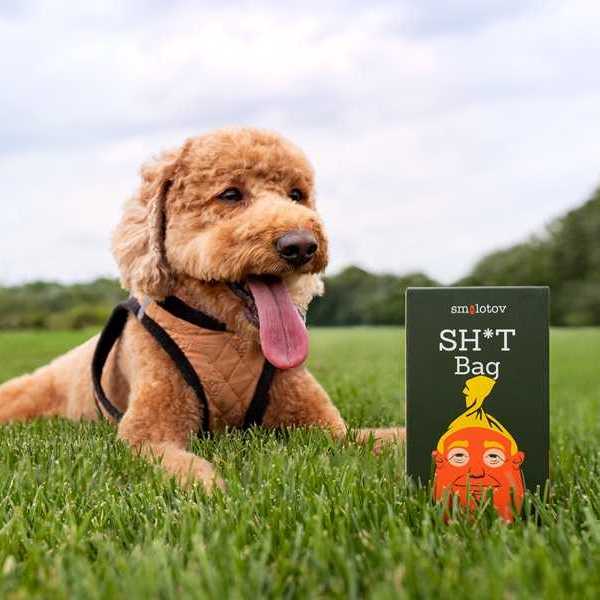 a dog laying in grass with a box of Smolotov Shit Bags