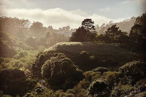 a hillside covered in vegetation with fog in the distance