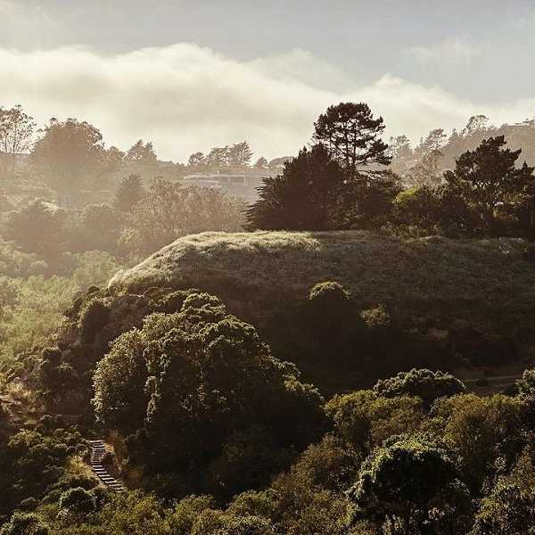 a hillside covered in vegetation with fog in the distance