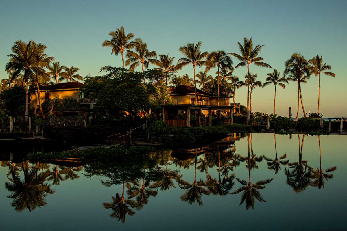 a hotel and palm trees reflected in a pool at sunset