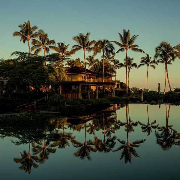 a hotel and palm trees reflected in a pool at sunset