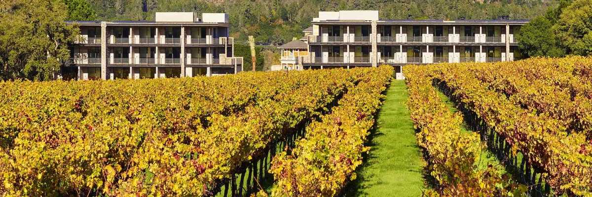 a hotel in the background with vineyards changing fall colors in the foreground