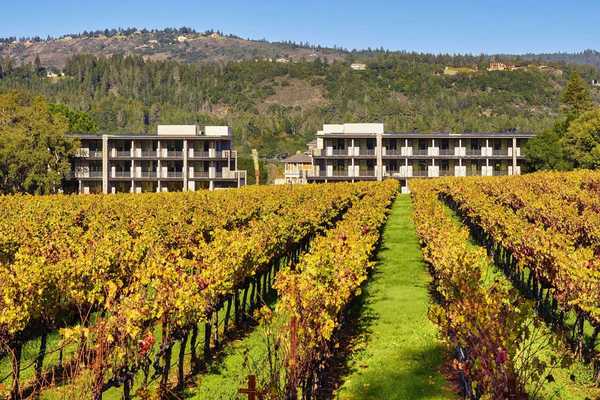 a hotel in the background with vineyards changing fall colors in the foreground