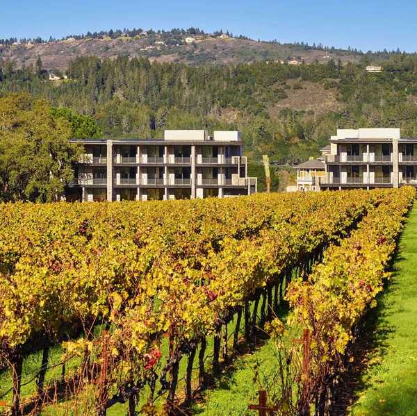 a hotel in the background with vineyards changing fall colors in the foreground