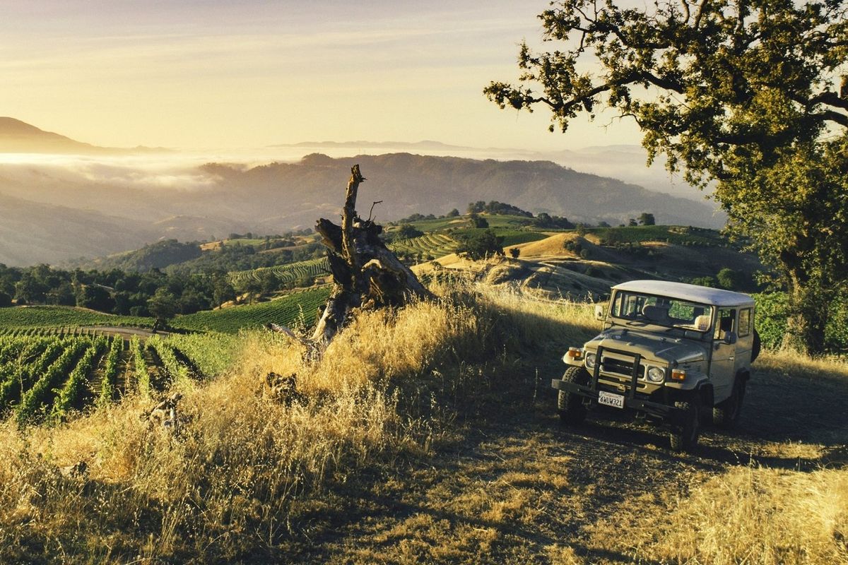 a Land Rover in a Sonoma vineyard