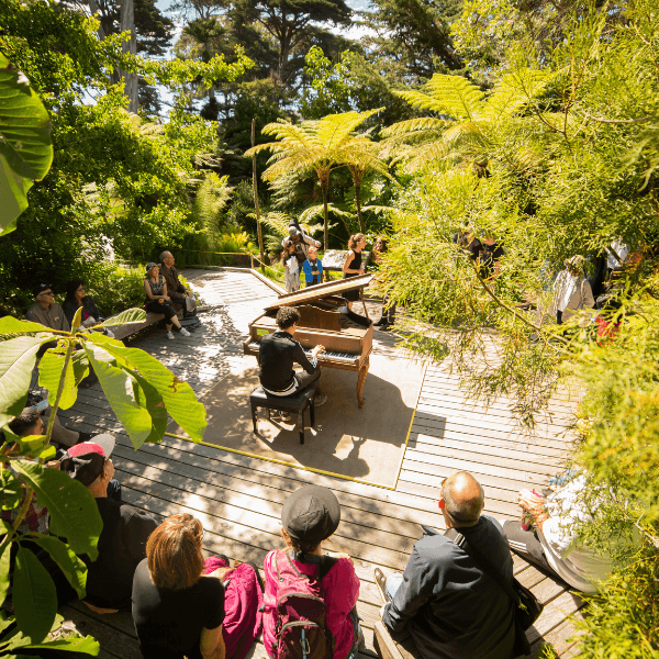 a man playing a grand piano on a stage in the middle of a garden