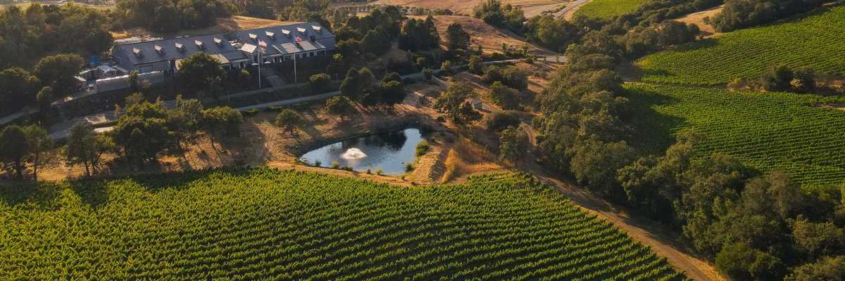 a massive vineyard and winery