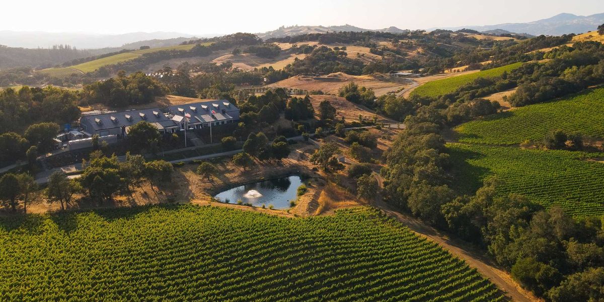 Modern Guide to Healdsburg: Mom-and-pops, Michelin stars, posh stays + wine for days