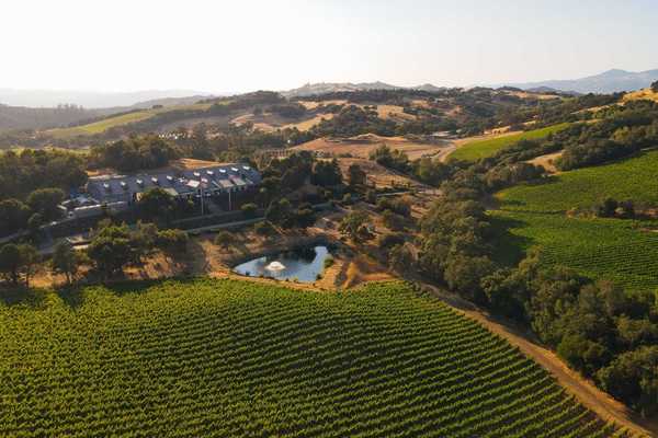 a massive vineyard and winery