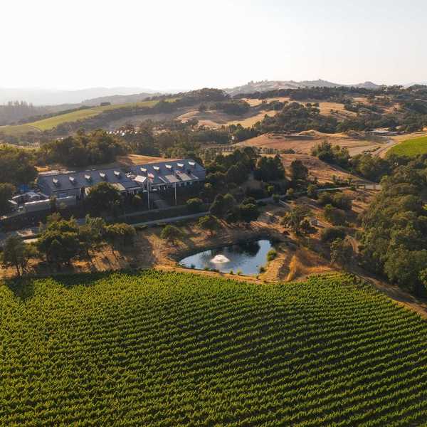 a massive vineyard and winery