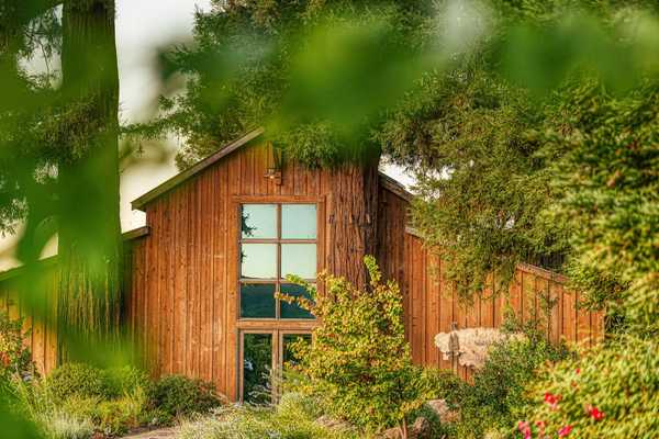 a rustic barn with large windows surrounded by greenery