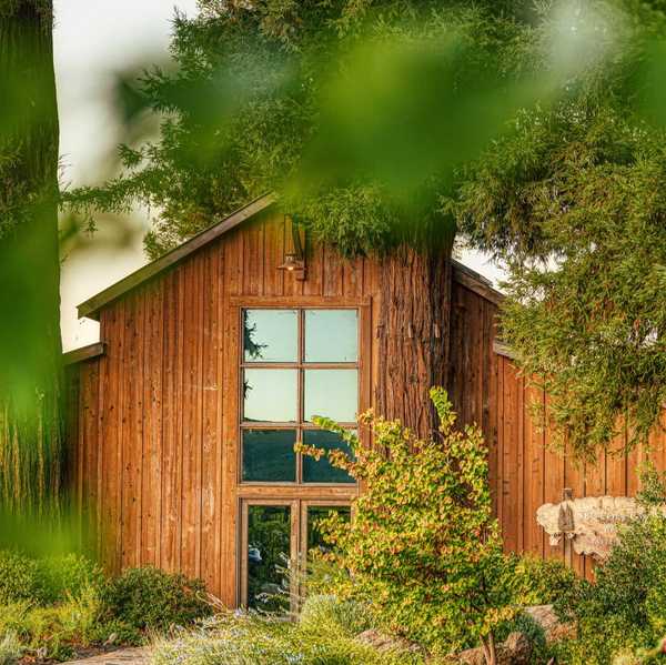 a rustic barn with large windows surrounded by greenery