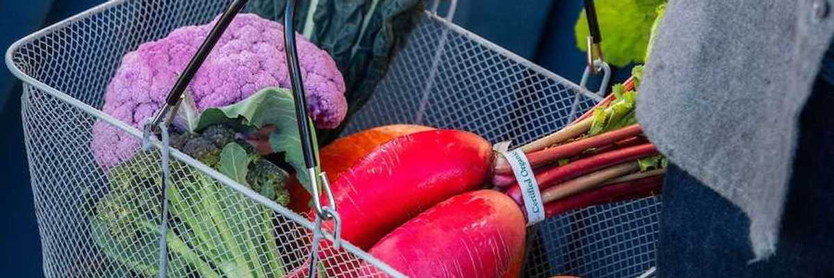 a shopping basket of farmers market veggies in the hand of a shopper