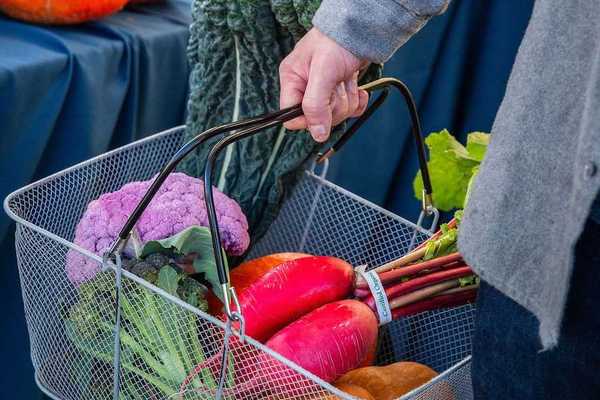 a shopping basket of farmers market veggies in the hand of a shopper