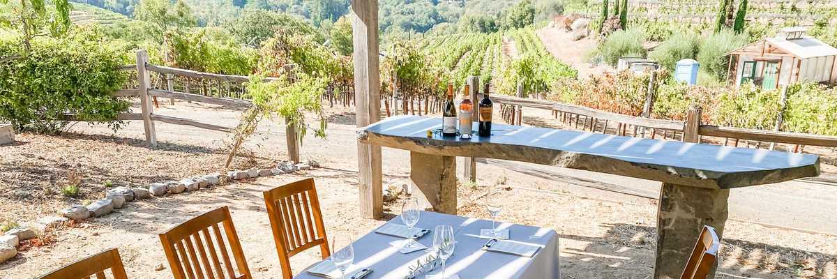 a table set up for wine tasting with a vineyard view behind it
