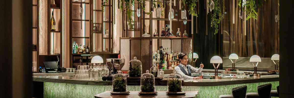 a tall bar with hanging plants and tree-like shelving