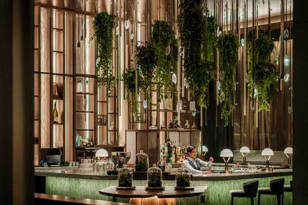 a tall bar with hanging plants and tree-like shelving