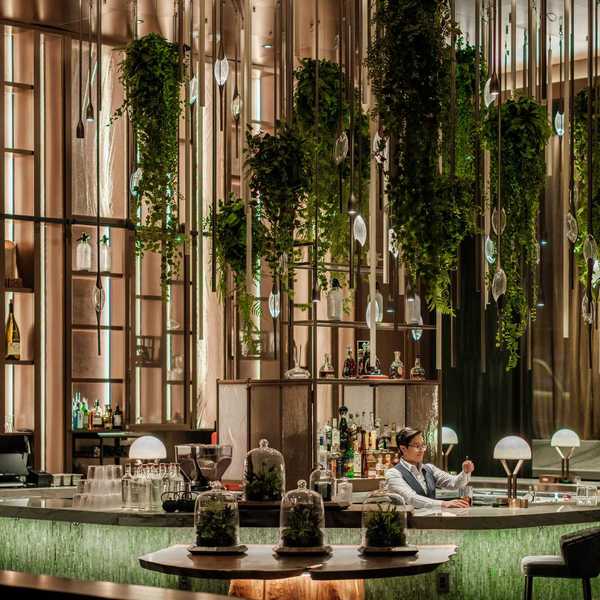 a tall bar with hanging plants and tree-like shelving