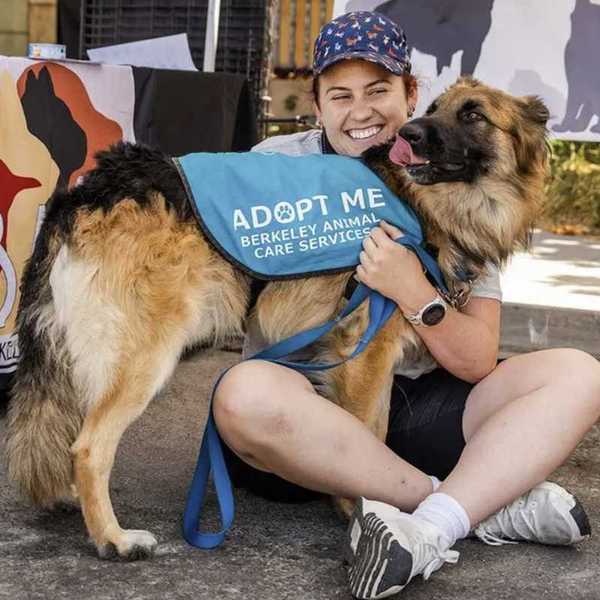 a woman in a hat and sneakers sitting with a German Shepherd mix wearing an "adopt me" vest