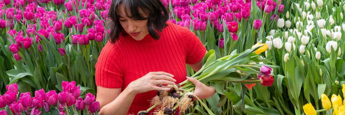 a woman standing amidst hundreds of differently colored tulips
