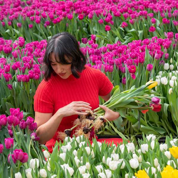 a woman standing amidst hundreds of differently colored tulips