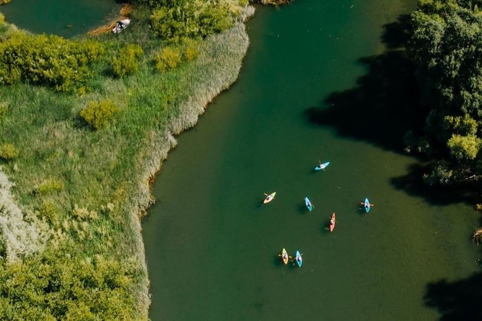 Aerial view of kayakers paddling on a curving green river beside lush greenery.