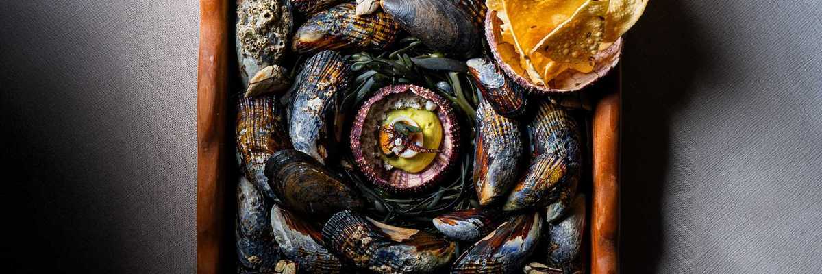 an elaborate tray of mussel shells with a fine dining bite positioned on top