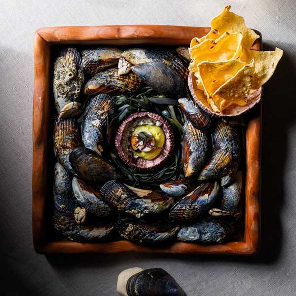 an elaborate tray of mussel shells with a fine dining bite positioned on top