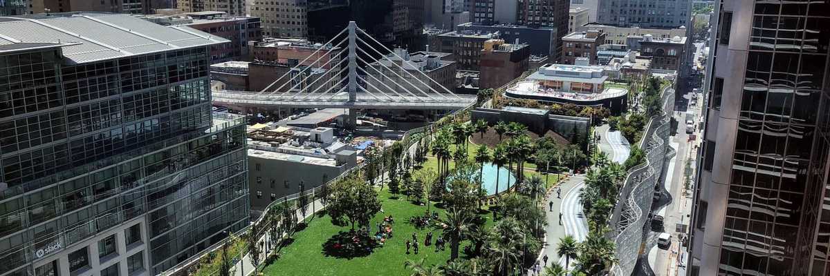 an elevated park with trees in the middle of a dense city downtown