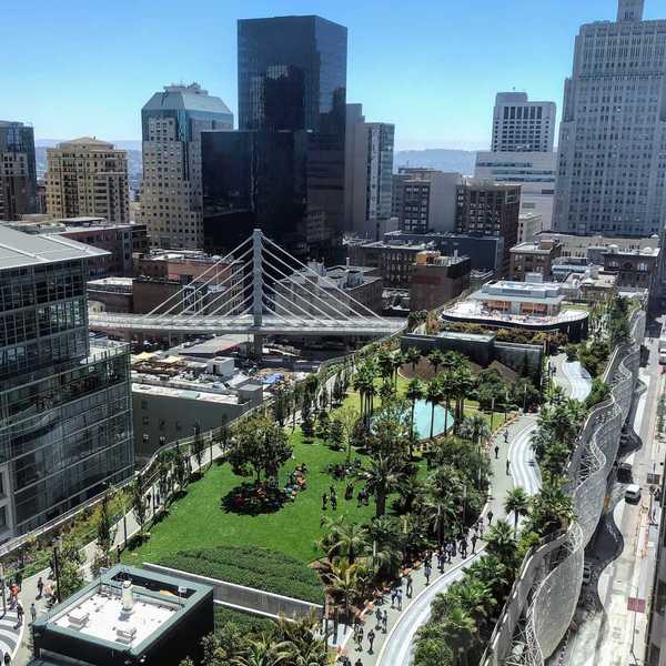 an elevated park with trees in the middle of a dense city downtown