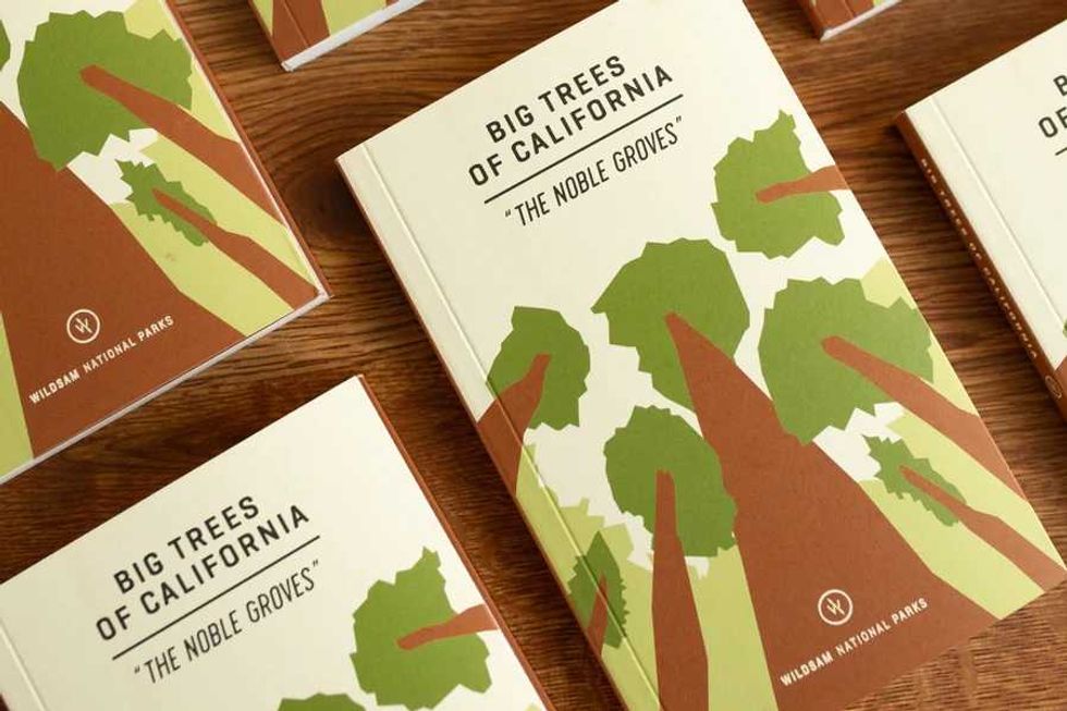 Books titled "Big Trees of California" with tree illustrations on covers.