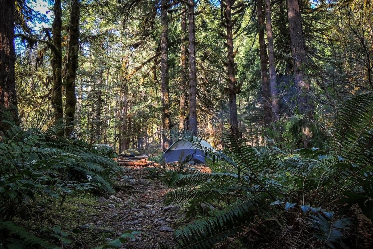 Oregon camping is even better at these free campgrounds