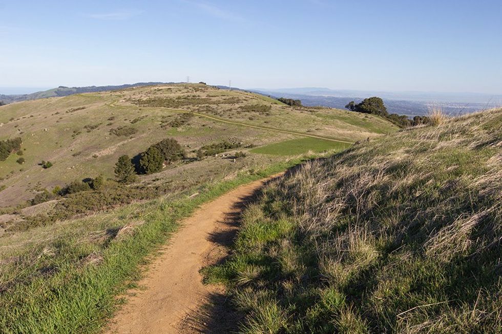 Catch views of the ocean and Mt. Diablo from the Ridge Trail in the mid-peninsula.