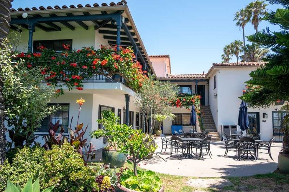 Charming courtyard with lush plants, flowers, and outdoor seating under a clear blue sky.