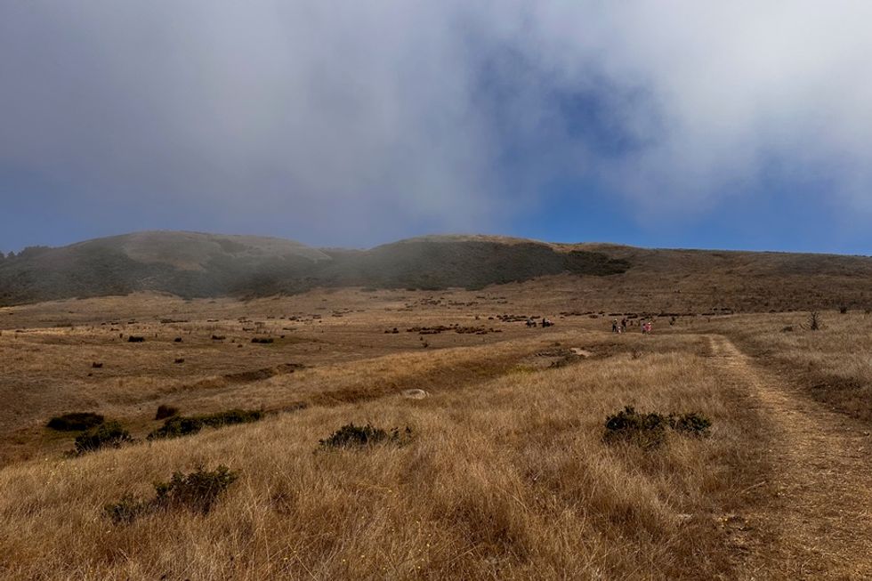 Dry grassy hills under a cloudy sky with scattered patches of bushes.