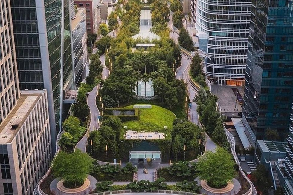Elevated urban garden surrounded by tall buildings in a cityscape.