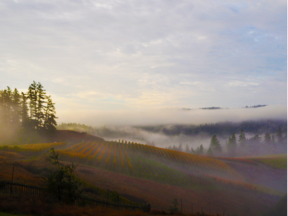 7 OffTheBeaten Path Napa Valley Wineries 7x7 Bay Area