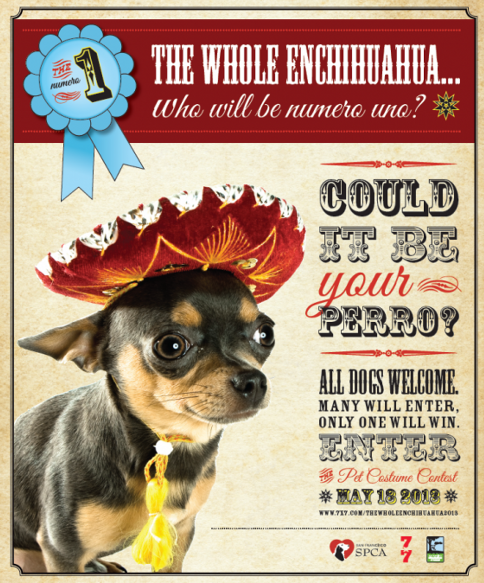 The Whole Enchihuahua 2013: Join us in Dolores Park on May 18th