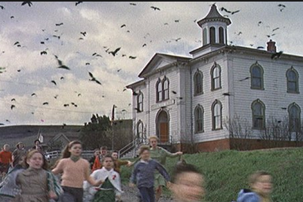 Visit Alfred Hitchcock's "The Birds" School House