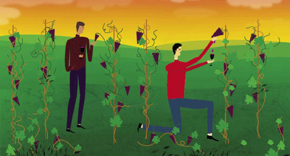 The New/Old California Wines: Lower-Scoring and Highly Delicious