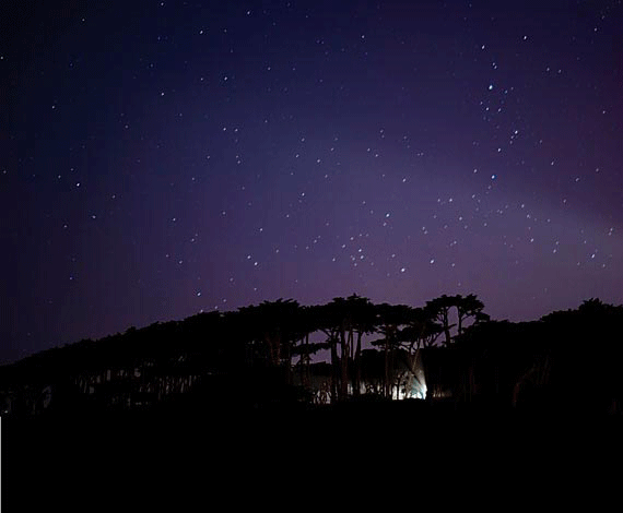 Night Light: The Best Spots For Star-Gazing