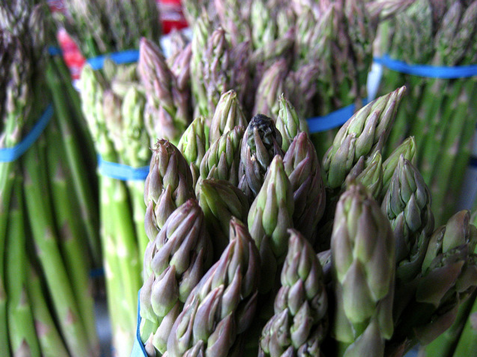 Asparagus Burnout: Coping With Seasonality Disorder
