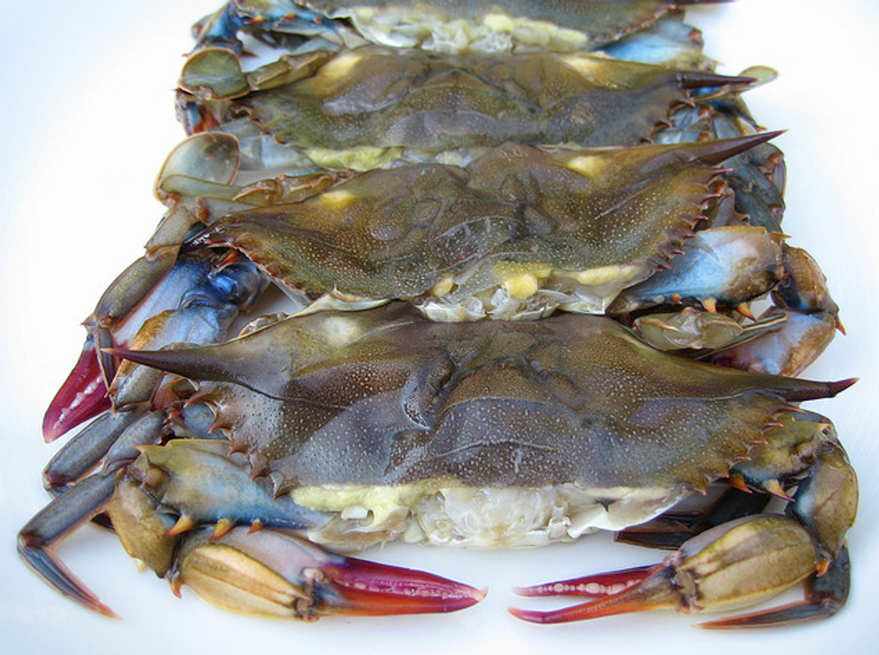 Soft-Shell Crabs Are In: Who's Cooking Them Up?