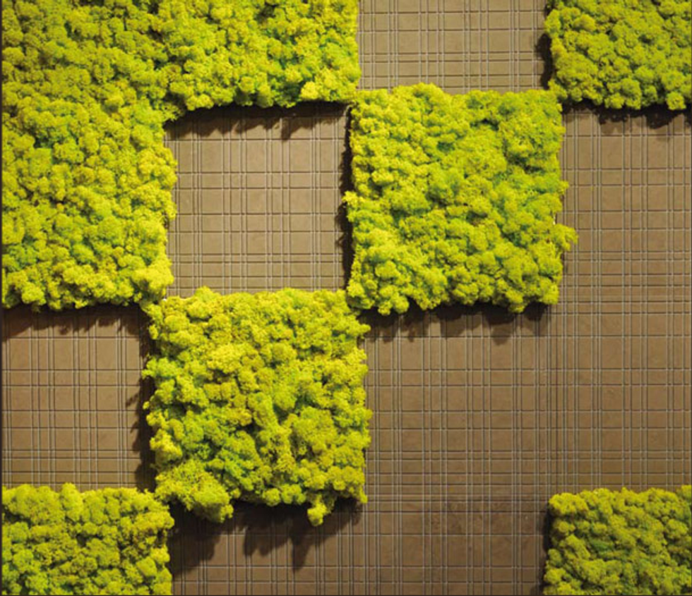 Moss Tile: A No-Work Garden